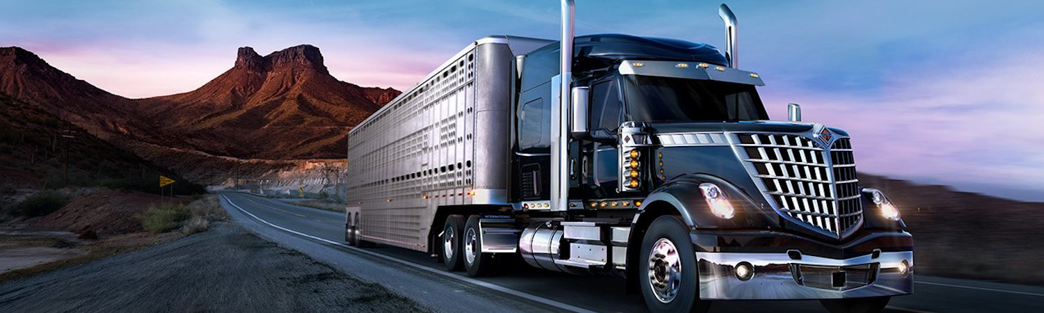 2021 International® Lonestar for sale in CarCo Truck & Equipment, Rice, Minnesota